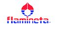 Cliente 7